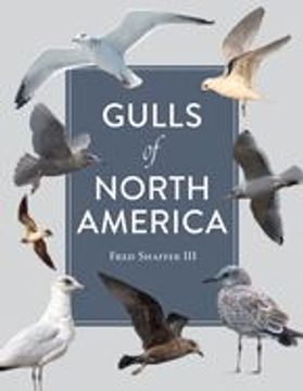portada Gulls of North America