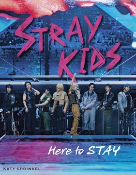 portada Stray Kids: Here to Stay (en Inglés)