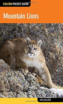 portada Mountain Lions (en Inglés)