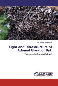 portada Light and Ultrastructure of Adrenal Gland of Bat