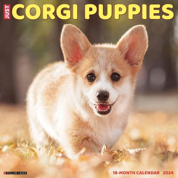 portada Willow Creek Press Corgi Puppies Monthly 2024 Wall Calendar (12" x 12")