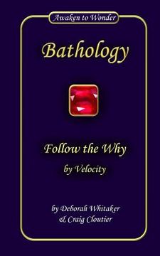 portada Follow the Why: by Velocity (en Inglés)
