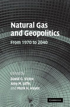portada Natural gas and Geopolitics: From 1970 to 2040 (en Inglés)