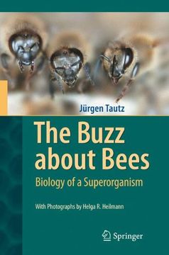 portada The Buzz About Bees: Biology of a Superorganism (en Inglés)