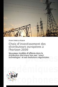 portada Choix D'Investissement Des Distributeurs Europeens A L'Horizon 2030