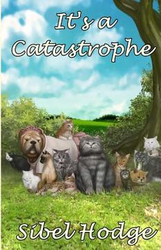 portada it's a catastrophe (in English)