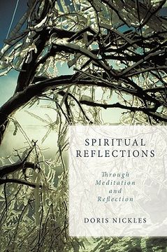 portada spiritual reflections: through meditation and reflection (en Inglés)
