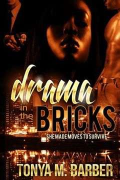 portada Drama In The Bricks (en Inglés)
