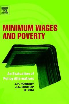 portada minimum wages and poverty: an evaluation of policy alternatives (en Inglés)