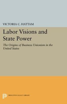 portada Labor Visions and State Power: The Origins of Business Unionism in the United States (Princeton Studies in American Politics: Historical, International, and Comparative Perspectives) (en Inglés)