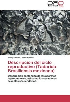 portada Descripcion del Ciclo Reproductivo (Tadarida Brasiliensis Mexicana)
