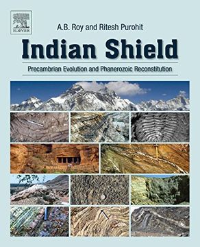 portada Indian Shield: Precambrian Evolution and Phanerozoic Reconstitution 