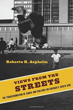 portada Views From the Streets (Studies in Transgression) (en Inglés)