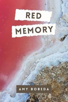 portada Red Memory (en Inglés)