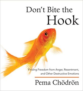 portada Don't Bite the Hook: Finding Freedom From Anger, Resentment, and Other Destructive Emotions () (en Inglés)