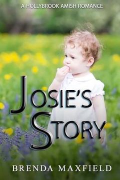 portada Amish Romance: Josie's Story: A Hollybrook Amish Romance Bundle 