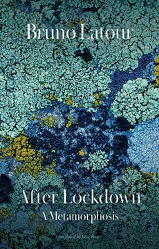 portada After Lockdown: A Metamorphosis (en Inglés)
