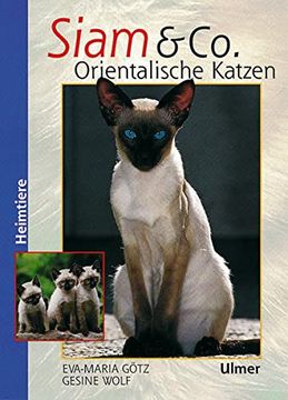 portada Siam und co: Orientalische Katzen (in German)