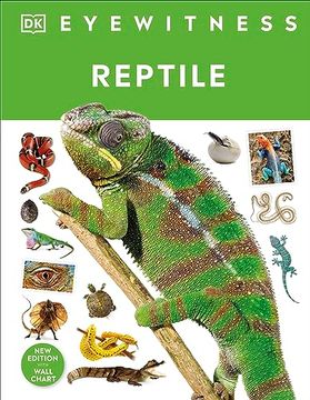 portada Reptile (en Inglés)