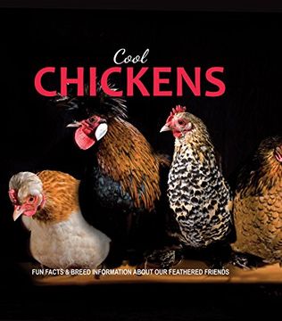 portada Cool Chickens