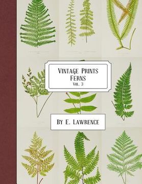 portada Vintage Prints: Ferns: Vol. 3 (en Inglés)