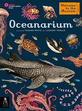 portada Welcome to the Museum: Oceanarium: By Loveday Trinick (Author), Teagan White (Illustrator) (in English)