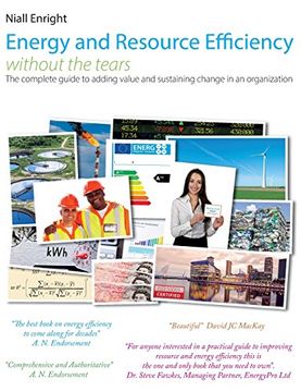 portada Energy and Resource Efficiency without the tears: The complete guide to to adding value and sustaining change in an organization.