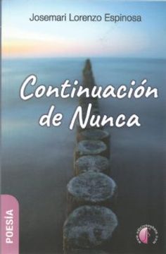 portada Continuacion de Nunca (in Spanish)