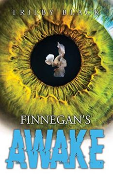 portada Finnegan'S Awake (en Inglés)