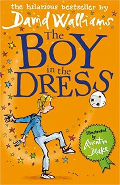 portada The boy in the Dress (en Inglés)