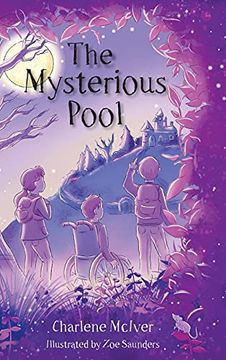 portada The Mysterious Pool (en Inglés)