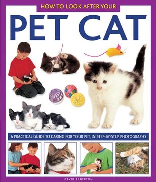 portada How to Look After Your Pet Cat