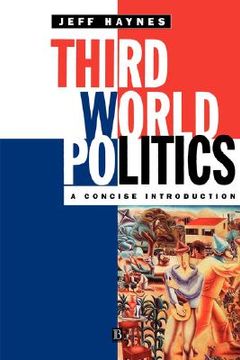 portada third world politics: demystifying mind (en Inglés)