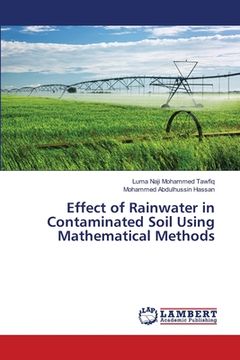 portada Effect of Rainwater in Contaminated Soil Using Mathematical Methods (in English)