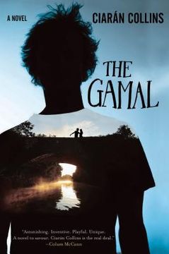 portada The Gamal (en Inglés)