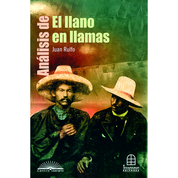 portada Análisis de el Llano en Llamas