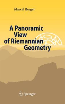 portada A Panoramic View of Riemannian Geometry (in English)