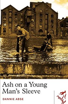 portada Ash on a Young Man's Sleeve (en Inglés)