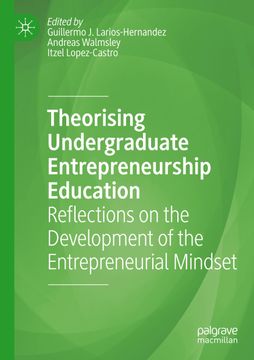 portada Theorising Undergraduate Entrepreneurship Education: Reflections on the Development of the Entrepreneurial Mindset 