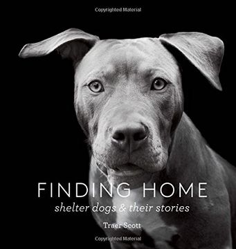 portada Finding Home: Shelter Dogs and Their Stories (en Inglés)