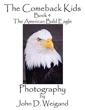 portada The Comeback Kids, Book 4, the American Bald Eagle 