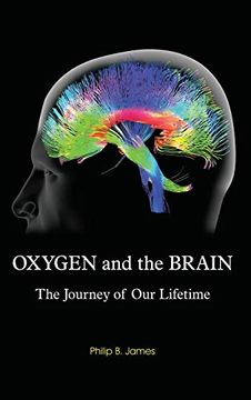 portada Oxygen and the Brain: The Journey of our Lifetime (en Inglés)