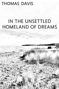 portada In the Unsettled Homeland of Dreams (en Inglés)
