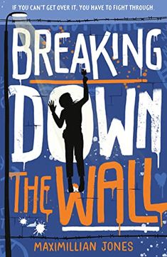 portada Breaking Down the Wall