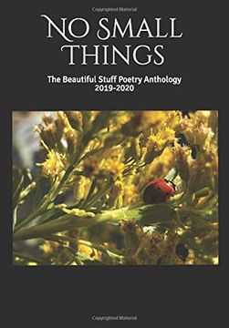 portada No Small Things: The Beautiful Stuff Poetry Anthology 2019-2020 