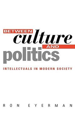 portada between culture and politics: intellectuals in modern society (en Inglés)