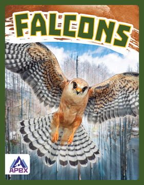 portada Falcons de Connor Stratton(Apex wea Intl)