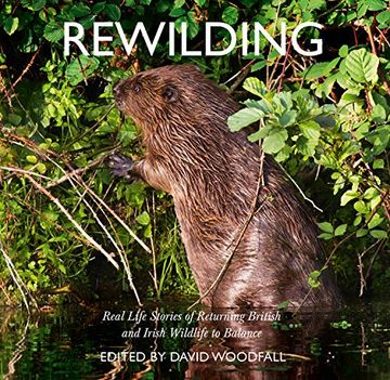 portada Rewilding: Real Life Stories of Returning British and Irish Wildlife to Balance 