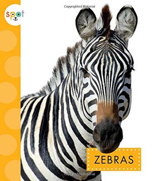 portada Zebras (en Inglés)