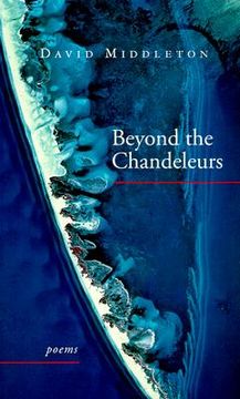 portada beyond the chandeleurs (en Inglés)